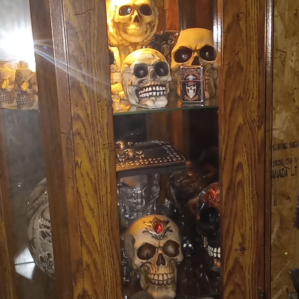 Massive skull collection